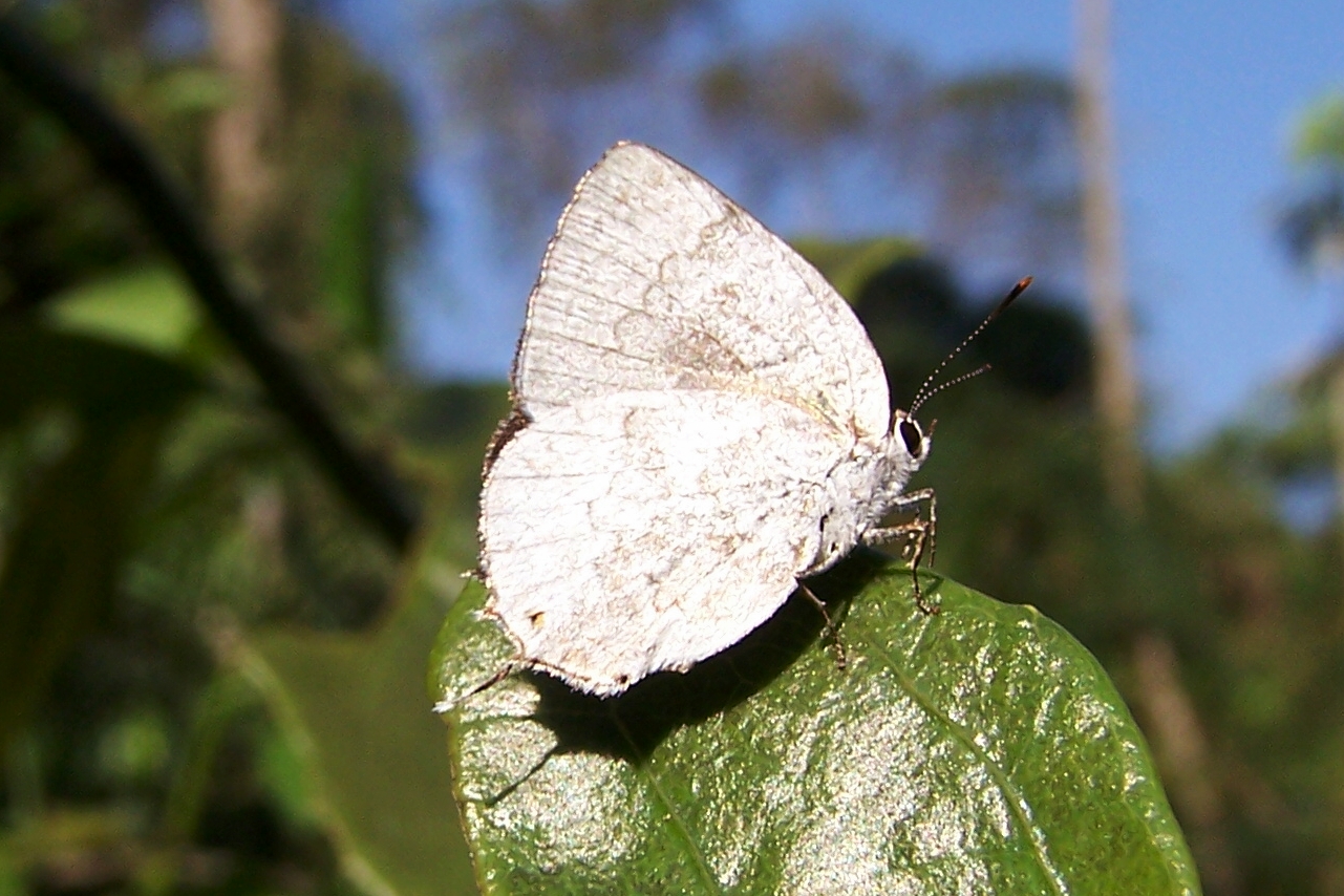 FIGURE 3f FIGURE 3f